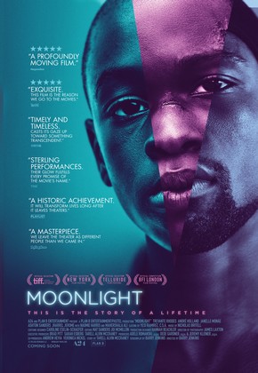 moonlight